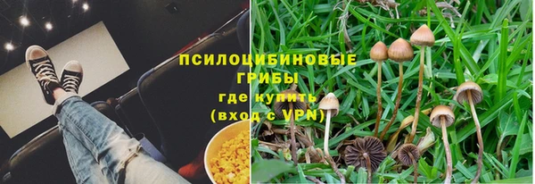 не бодяженный Козельск